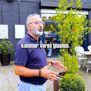 Opslagsbillede