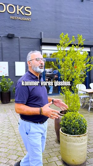 opslagsbillede