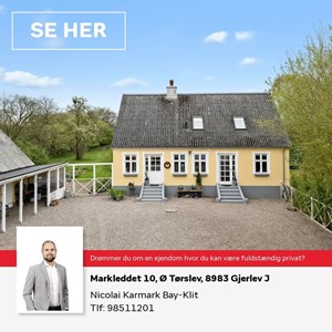 opslagsbillede
