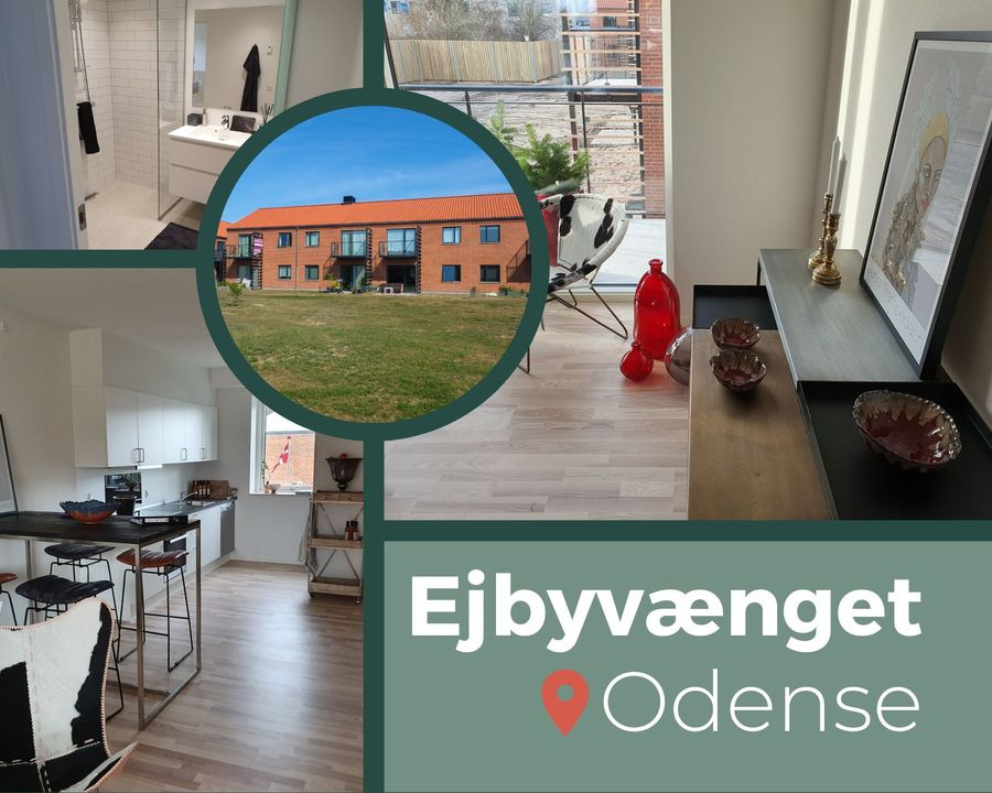 En finger på pulsen i Odense