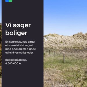 Opslagsbillede