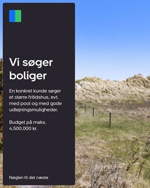 opslagsbillede