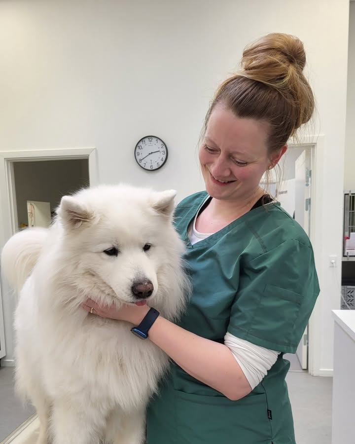 Dyrehospitalet Heden ApS fejrer to praktikant-veterinærsygeplejersker