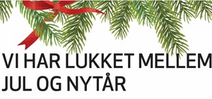 Svendborg Kommune har lukket mellem jul og nytår