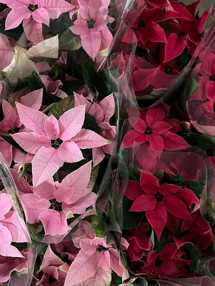 Det nyeste på Odders opslagstavle