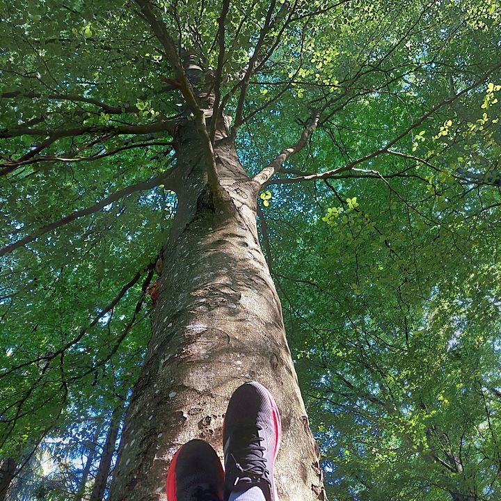 Det nyeste på Hammels opslagstavle