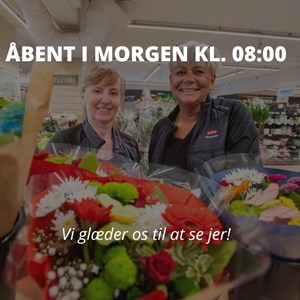 Opslagsbillede