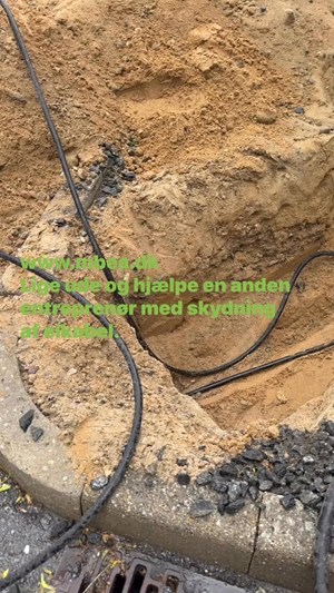 opslagsbillede
