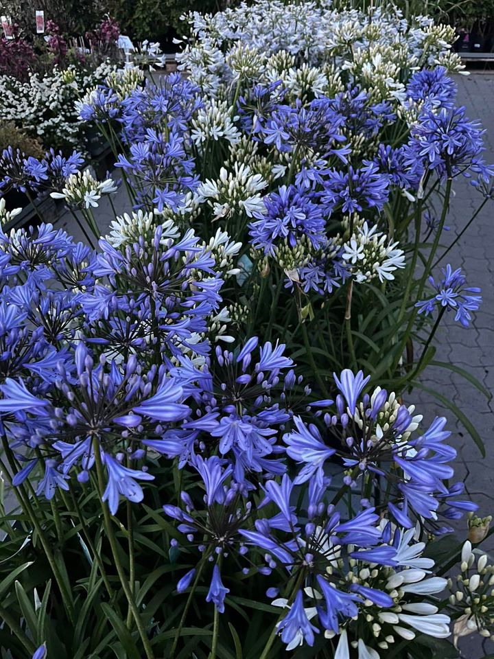 Nyt på opslagstavlen i Horsens