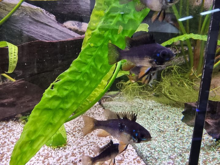 Opslagstavlen: Nyeste opdateringer fra Hjørring