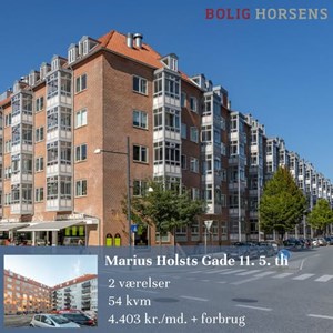 opslagsbillede