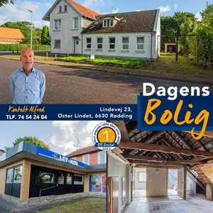 Opslagsbillede