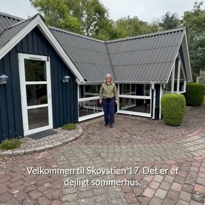 Opslagsbillede