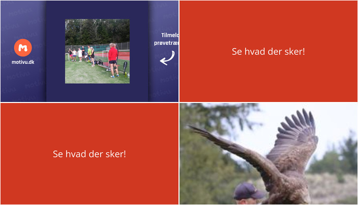 Udforsk Tennis og Rovfugle i Bindslev i den kommende uge