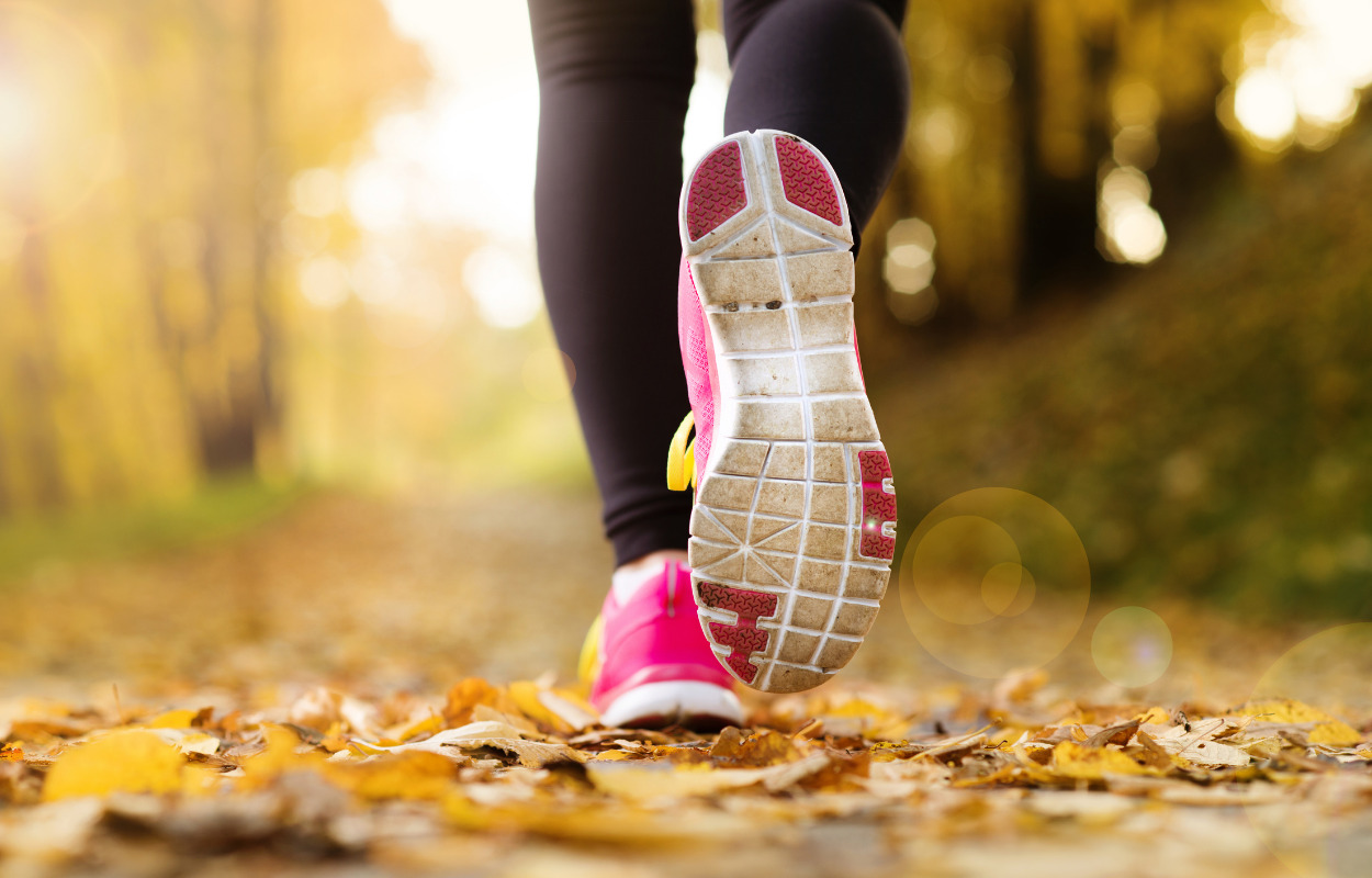 Nu åbner klimaruterne i Ishøj