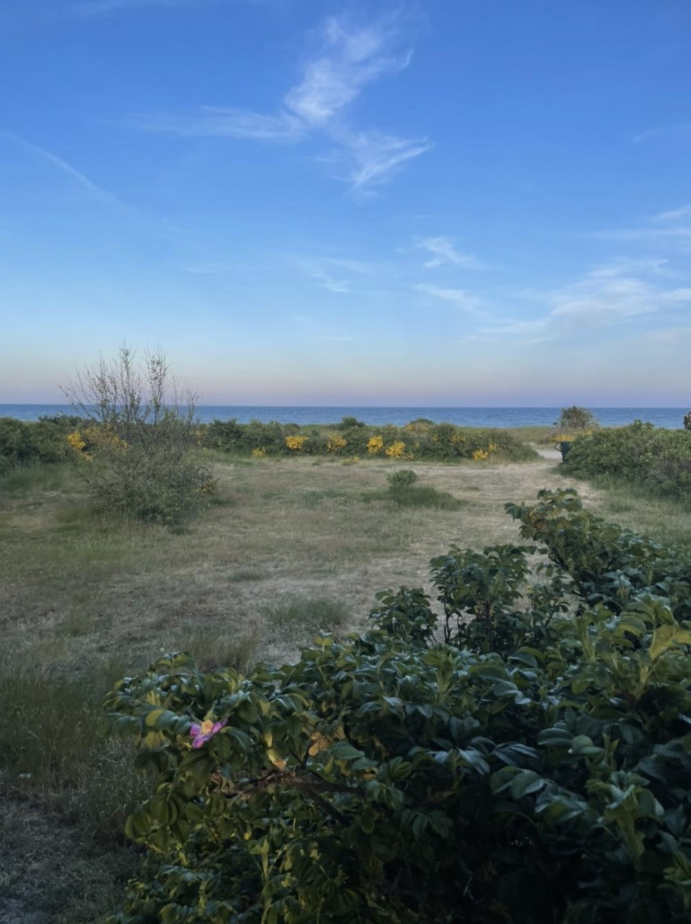 Meditativ vandring ved Dråby Strand: En rejse i natur og ro