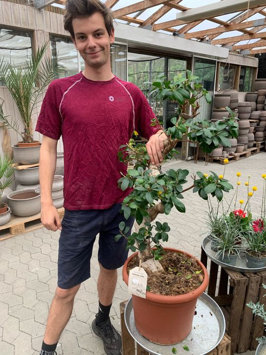 Nyt på opslagstavlen i Brønderslev