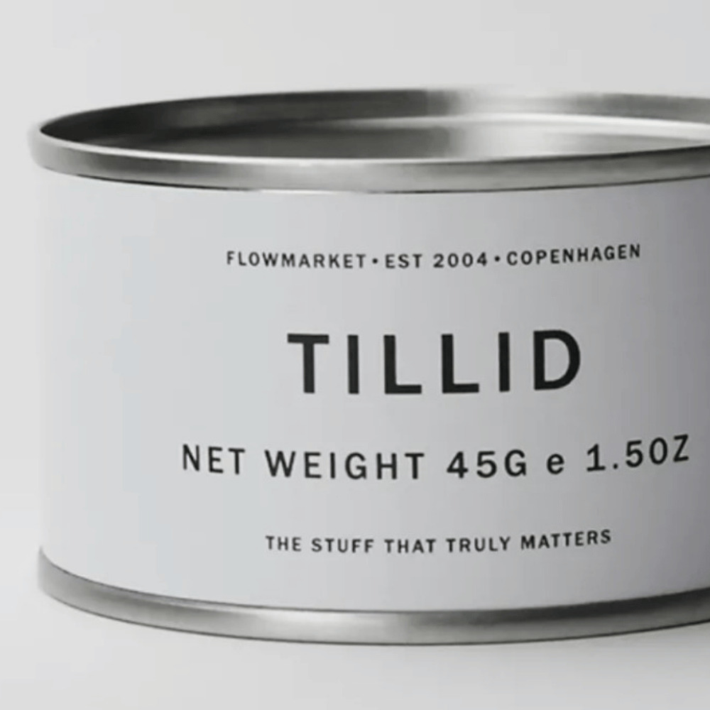 Filosofisk foredrag om tillid i Folkehuset Tilst