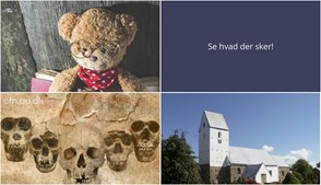 Fejring af Internationale Bamsedag og udvikling af menneskets stamtræ i Ølgod