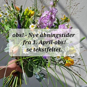 Opslagsbillede