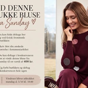 Opslagsbillede