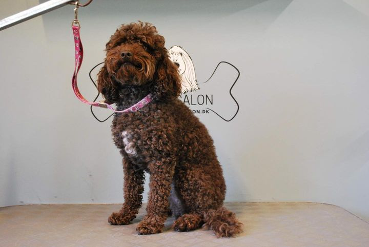 Opslagstavlen: Nyeste opdateringer fra Sæby