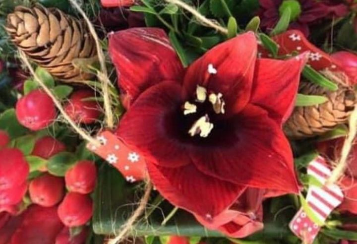 En finger på pulsen i Roslev