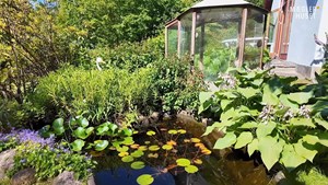 Mæglerhuset: Landlig idyl med charmerende detaljer på Høvejen 106