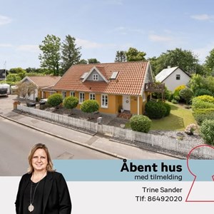 Opslagsbillede