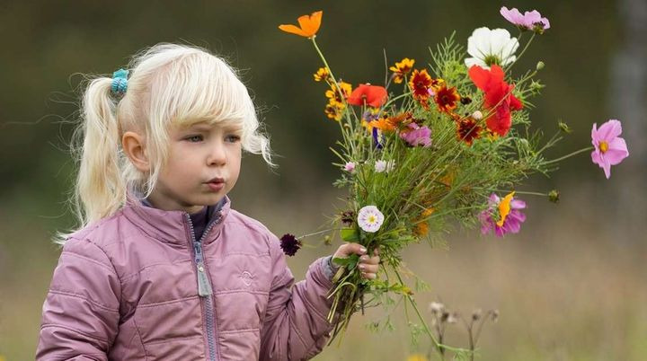 Frivillige ambassadører hjælper Billund Kommune med byprofilerne