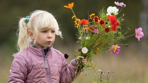 Frivillige ambassadører hjælper Billund Kommune med byprofilerne