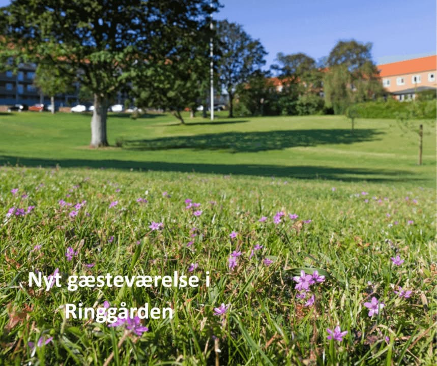 NordVestBO åbner ny gæstelejlighed i Ringgården til leje for beboere
