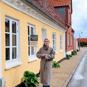 Opslagsbillede