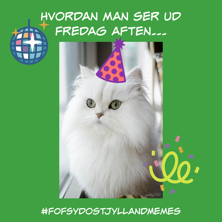 Hold trit med lokalområdet: Nyt fra Vejle