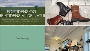 Nyt fra KJELD SKO, NOTFARAWAY og Folkets Hus