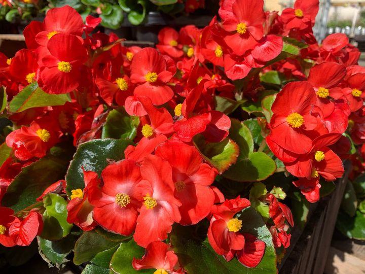 Hold trit med lokalområdet: Nyt fra Brønderslev