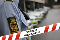 Indbrud i Lysholmparken: Beboer overrasker to mænd i færd med indbrud