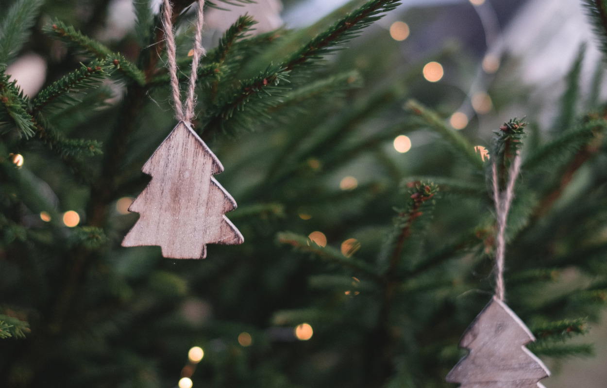 Kom til udendørs juletræsfest i Rosenparkens pavillon