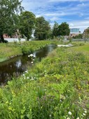 Aalborg fejrer arkitektoniske perler: Østerå vinder publikumets hjerter i ny prisuddeling
