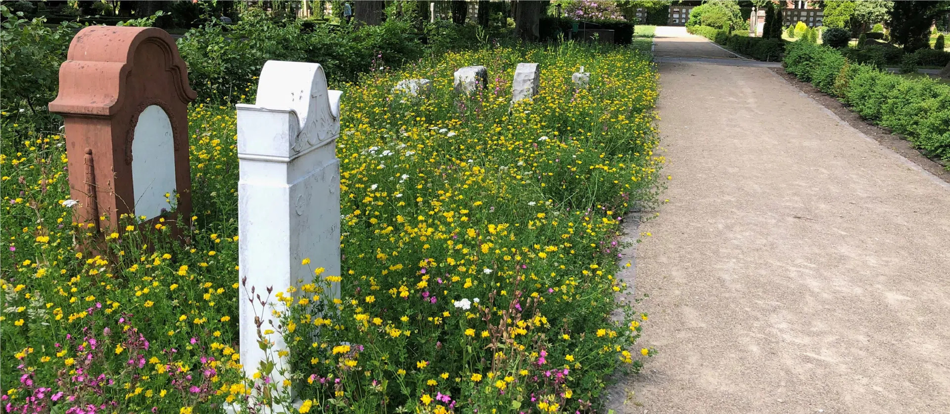 Aalborg kirkegårde tilpasser sig stigende kremeringstrend med kreative løsninger