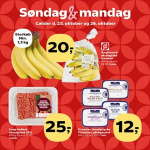 opslagsbillede