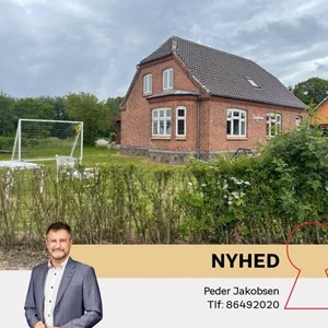 Opslagsbillede