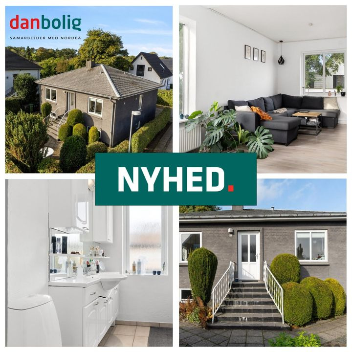 Hold trit med lokalområdet: Nyt fra Holstebro