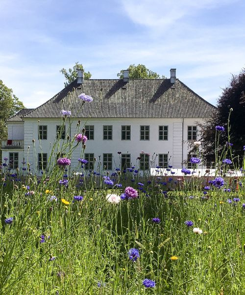 Oplæsning og samtale med Linea Maja Ernst på Krogerup Højskole