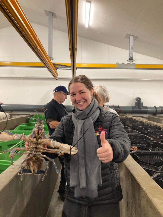 Det nyeste på Hernings opslagstavle