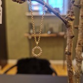 Guldsmed Ø præsenterer unikke diamanter fra Antwerpen