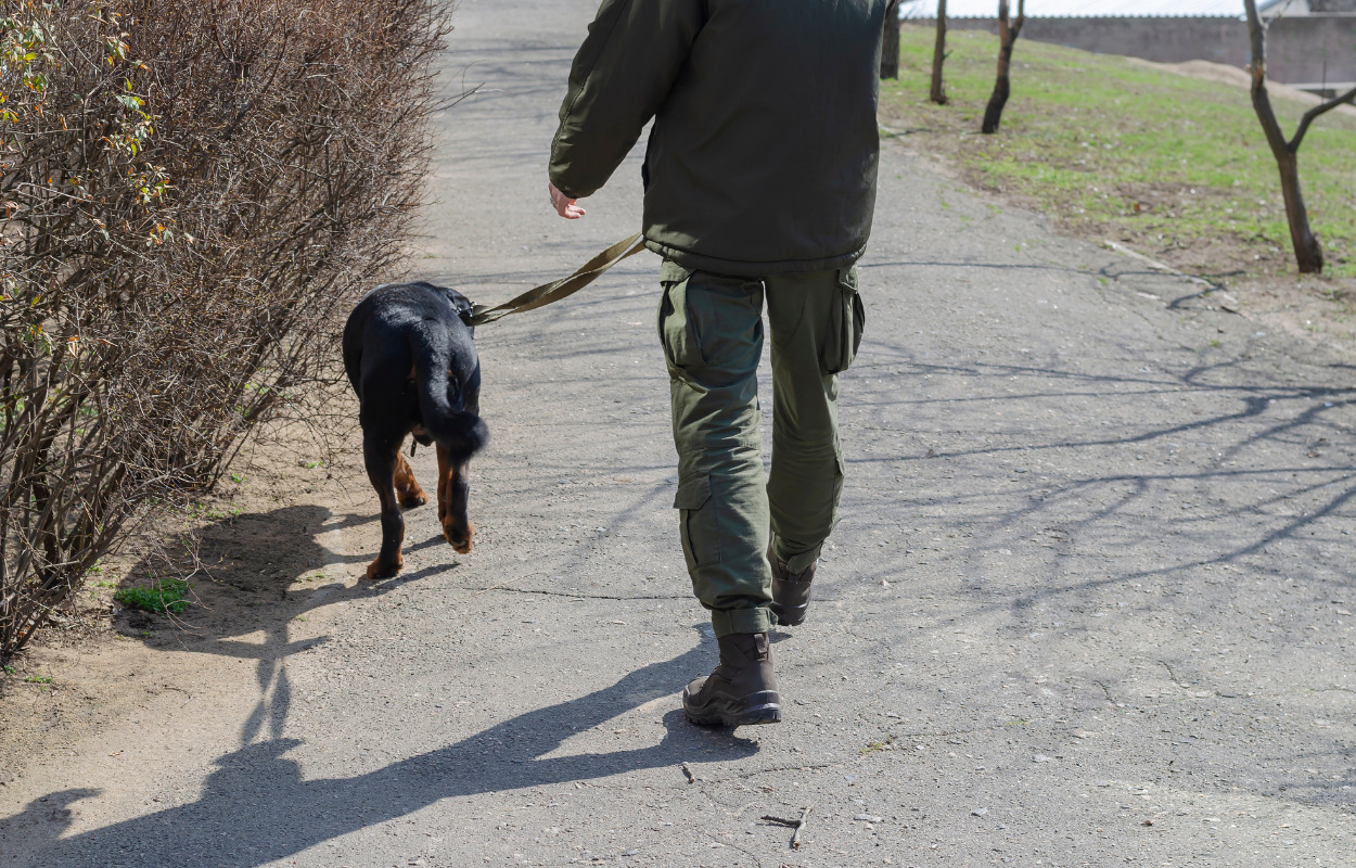 Skive: Fører af bil forsvandt efter biluheld