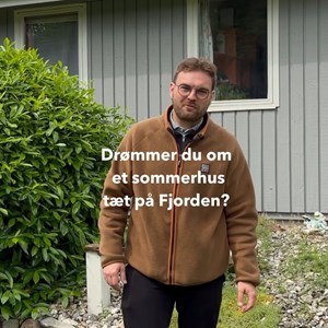 Opslagsbillede