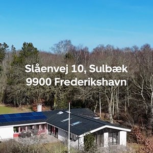 Opslagsbillede