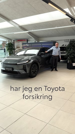 opslagsbillede